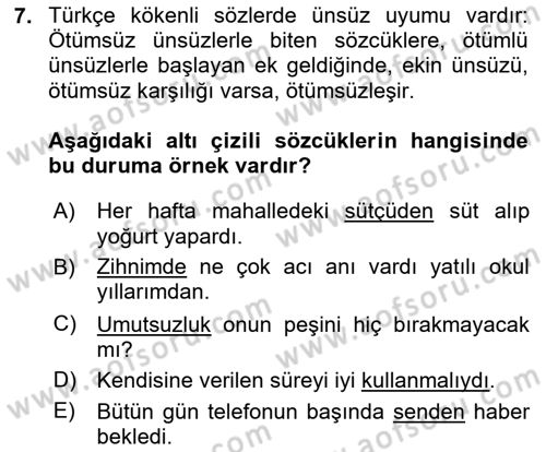 Türk Dili 1 Dersi 2024 - 2025 Yılı Yaz Okulu Sınav Soruları 7. Soru
