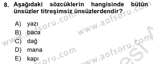 Türk Dili 1 Dersi 2024 - 2025 Yılı Yaz Okulu Sınav Soruları 8. Soru