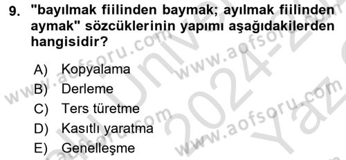 Türk Dili 1 Dersi 2024 - 2025 Yılı Yaz Okulu Sınav Soruları 9. Soru