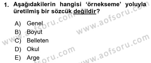 Türk Dili 1 Dersi 2025 - 2026 Yılı (Vize) Ara Sınav Soruları 1. Soru