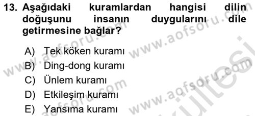 Türk Dili 1 Dersi 2025 - 2026 Yılı (Vize) Ara Sınav Soruları 13. Soru