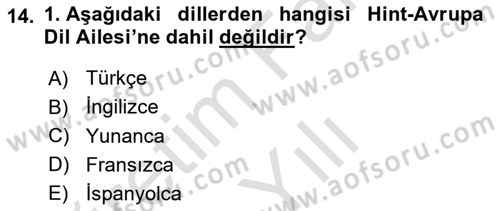 Türk Dili 1 Dersi 2025 - 2026 Yılı (Vize) Ara Sınav Soruları 14. Soru