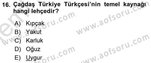 Türk Dili 1 Dersi 2025 - 2026 Yılı (Vize) Ara Sınav Soruları 16. Soru