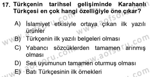 Türk Dili 1 Dersi 2025 - 2026 Yılı (Vize) Ara Sınav Soruları 17. Soru