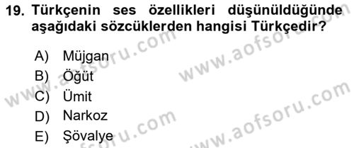 Türk Dili 1 Dersi 2025 - 2026 Yılı (Vize) Ara Sınav Soruları 19. Soru
