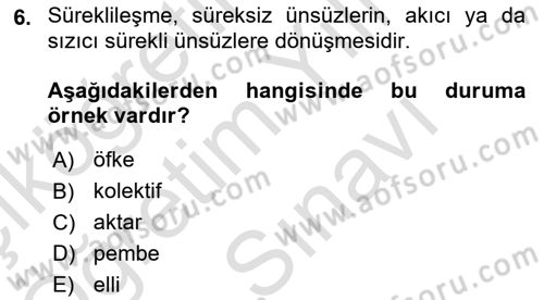 Türk Dili 1 Dersi 2025 - 2026 Yılı (Vize) Ara Sınav Soruları 6. Soru