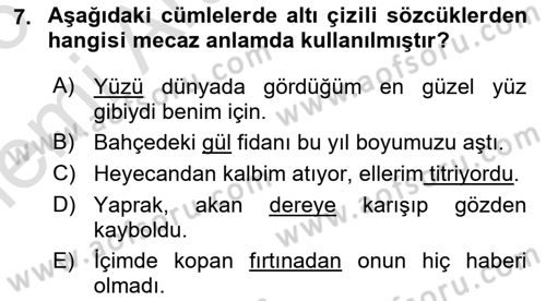 Türk Dili 1 Dersi 2025 - 2026 Yılı (Vize) Ara Sınav Soruları 7. Soru