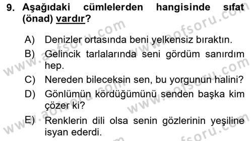 Türk Dili 1 Dersi 2025 - 2026 Yılı (Vize) Ara Sınav Soruları 9. Soru