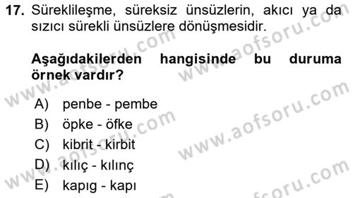 Türk Dili 1 Dersi 2025 - 2026 Yılı (Final) Dönem Sonu Sınav Soruları 17. Soru