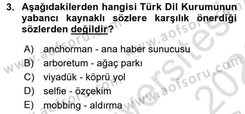 Türk Dili 1 Dersi 2025 - 2026 Yılı (Final) Dönem Sonu Sınav Soruları 3. Soru