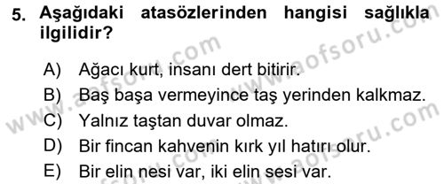Türk Dili 1 Dersi 2025 - 2026 Yılı (Final) Dönem Sonu Sınav Soruları 5. Soru