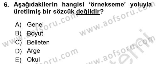 Türk Dili 1 Dersi 2025 - 2026 Yılı (Final) Dönem Sonu Sınav Soruları 6. Soru