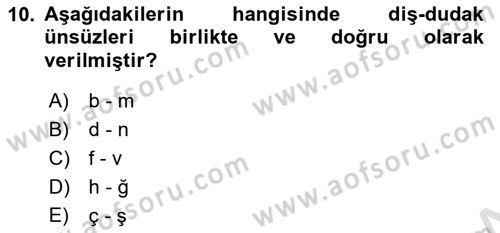 Türk Dili 1 Dersi 2025 - 2026 Yılı Yaz Okulu Sınav Soruları 10. Soru