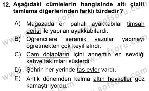 Türk Dili 1 Dersi 2025 - 2026 Yılı Yaz Okulu Sınav Soruları 12. Soru