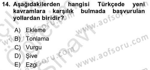 Türk Dili 1 Dersi 2025 - 2026 Yılı Yaz Okulu Sınav Soruları 14. Soru