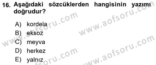Türk Dili 1 Dersi 2025 - 2026 Yılı Yaz Okulu Sınav Soruları 16. Soru