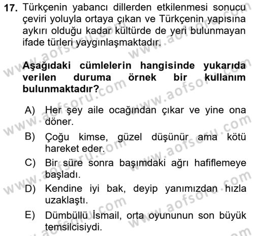 Türk Dili 1 Dersi 2025 - 2026 Yılı Yaz Okulu Sınav Soruları 17. Soru