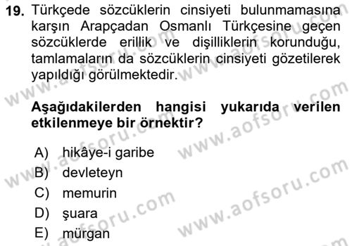 Türk Dili 1 Dersi 2025 - 2026 Yılı Yaz Okulu Sınav Soruları 19. Soru