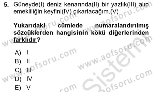 Türk Dili 1 Dersi 2025 - 2026 Yılı Yaz Okulu Sınav Soruları 5. Soru
