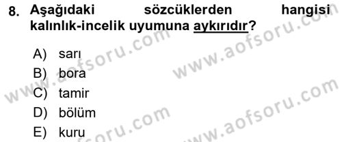 Türk Dili 1 Dersi 2025 - 2026 Yılı Yaz Okulu Sınav Soruları 8. Soru