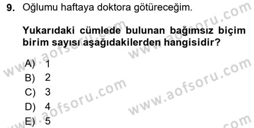 Türk Dili 1 Dersi 2025 - 2026 Yılı Yaz Okulu Sınav Soruları 9. Soru