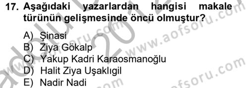 Türk Dili 2 Dersi 2012 - 2013 Yılı (Vize) Ara Sınav Soruları 17. Soru