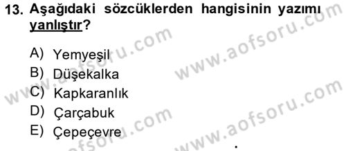 Türk Dili 2 Dersi 2013 - 2014 Yılı (Vize) Ara Sınav Soruları 13. Soru