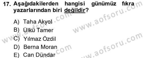 Türk Dili 2 Dersi 2013 - 2014 Yılı (Vize) Ara Sınav Soruları 17. Soru