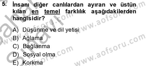 Türk Dili 2 Dersi 2013 - 2014 Yılı (Vize) Ara Sınav Soruları 5. Soru