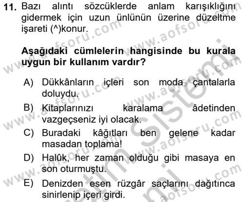 Türk Dili 2 Dersi 2016 - 2017 Yılı (Vize) Ara Sınav Soruları 11. Soru