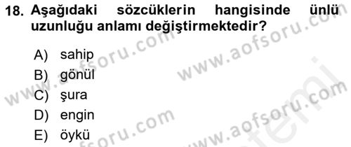 Türk Dili 2 Dersi 2018 - 2019 Yılı (Final) Dönem Sonu Sınav Soruları 18. Soru