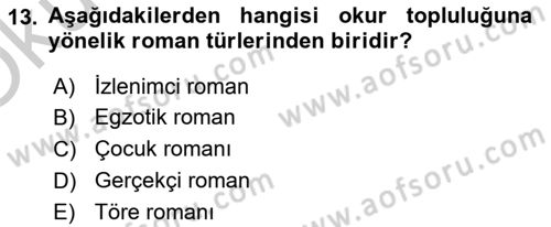 Türk Dili 2 Dersi 2018 - 2019 Yılı Yaz Okulu Sınav Soruları 13. Soru
