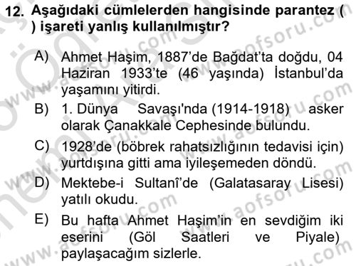 Türk Dili 2 Dersi 2024 - 2025 Yılı (Vize) Ara Sınav Soruları 12. Soru