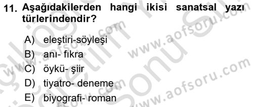 Türk Dili 2 Dersi 2024 - 2025 Yılı (Final) Dönem Sonu Sınav Soruları 11. Soru