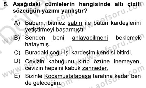 Türk Dili 2 Dersi 2024 - 2025 Yılı (Final) Dönem Sonu Sınav Soruları 5. Soru