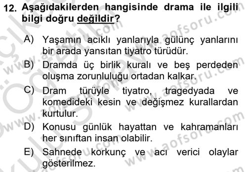 Türk Dili 2 Dersi 2024 - 2025 Yılı Yaz Okulu Sınav Soruları 12. Soru