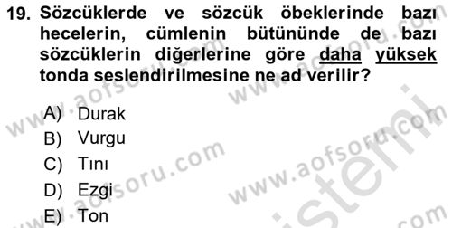 Türk Dili 2 Dersi 2024 - 2025 Yılı Yaz Okulu Sınav Soruları 19. Soru