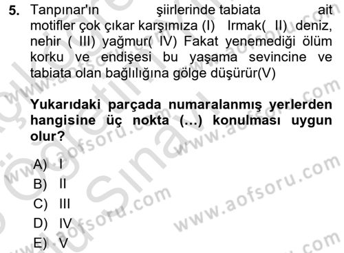 Türk Dili 2 Dersi 2024 - 2025 Yılı Yaz Okulu Sınav Soruları 5. Soru