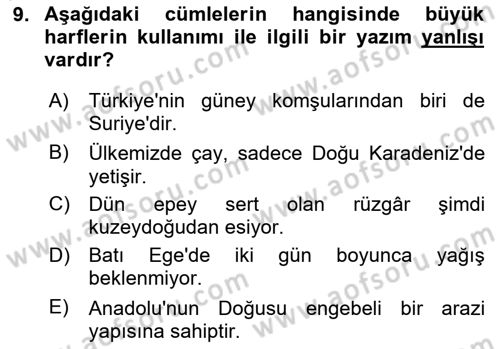 Türk Dili 2 Dersi 2025 - 2026 Yılı Yaz Okulu Sınav Soruları 9. Soru