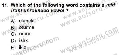 Türkçe Ses Ve Biçim Bilgisi Dersi Ara Sınavı Deneme Sınav Soruları 11. Soru