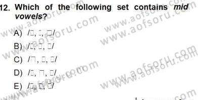 Türkçe Ses Ve Biçim Bilgisi Dersi Ara Sınavı Deneme Sınav Soruları 12. Soru