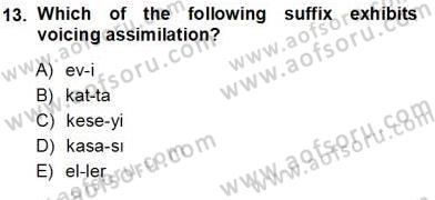 Türkçe Ses Ve Biçim Bilgisi Dersi Ara Sınavı Deneme Sınav Soruları 13. Soru