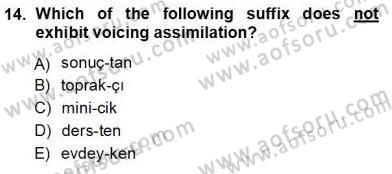 Türkçe Ses Ve Biçim Bilgisi Dersi Ara Sınavı Deneme Sınav Soruları 14. Soru