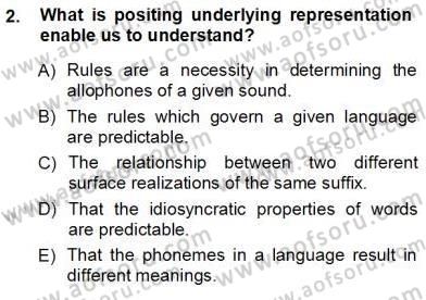 Türkçe Ses Ve Biçim Bilgisi Dersi Ara Sınavı Deneme Sınav Soruları 2. Soru