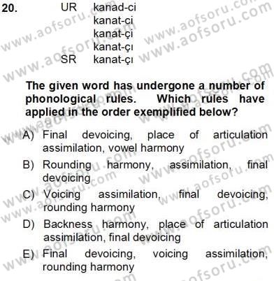 Türkçe Ses Ve Biçim Bilgisi Dersi Ara Sınavı Deneme Sınav Soruları 20. Soru