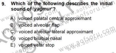 Türkçe Ses Ve Biçim Bilgisi Dersi Ara Sınavı Deneme Sınav Soruları 9. Soru