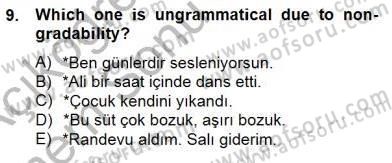 Türkçe Ses Ve Biçim Bilgisi Dersi 2012 - 2013 Yılı (Final) Dönem Sonu Sınav Soruları 9. Soru