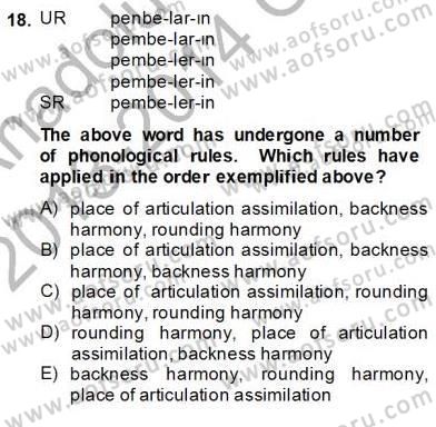Türkçe Ses Ve Biçim Bilgisi Dersi 2013 - 2014 Yılı (Vize) Ara Sınavı 18. Soru