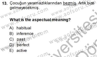 Türkçe Ses Ve Biçim Bilgisi Dersi 2013 - 2014 Yılı (Final) Dönem Sonu Sınav Soruları 13. Soru