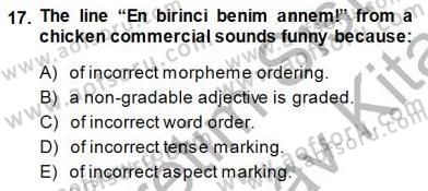 Türkçe Ses Ve Biçim Bilgisi Dersi 2013 - 2014 Yılı (Final) Dönem Sonu Sınav Soruları 17. Soru